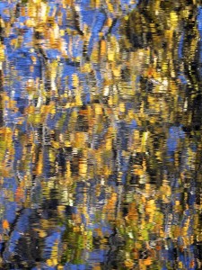 Autumn Abstract 51           