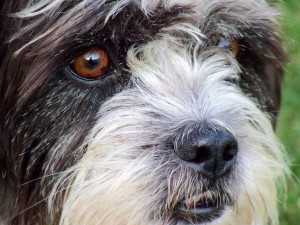 Up Close and Personal with Mr. Beamer                 