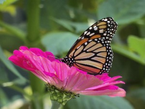 We Were Made for Each Other         